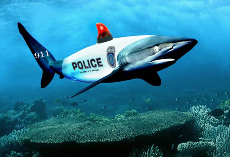 Shark-Police