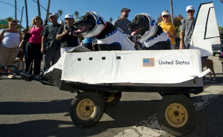 Two dogs pilot the Space Shuttle Endeavo