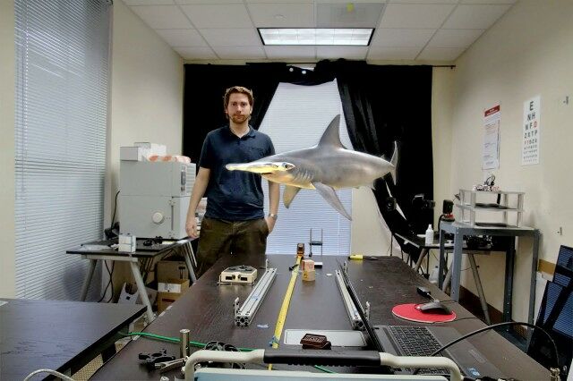 magic-leap-shark-640x426