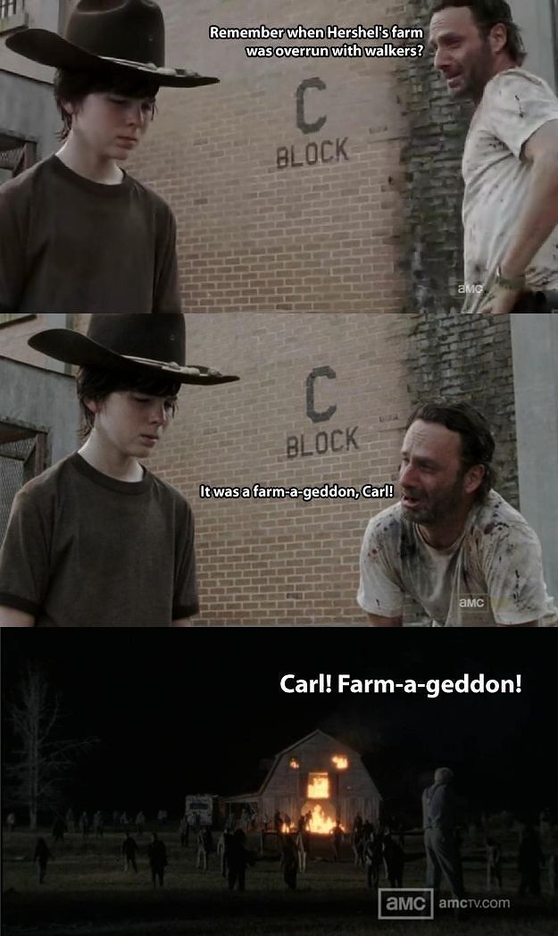 35 Of The Best Walking Dead Carl Meme (Coral) Dad Jokes