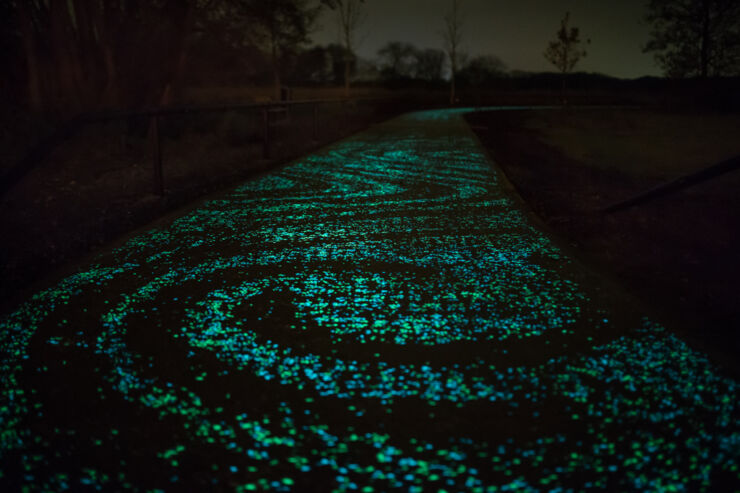 VanGoghRoosegaarde7