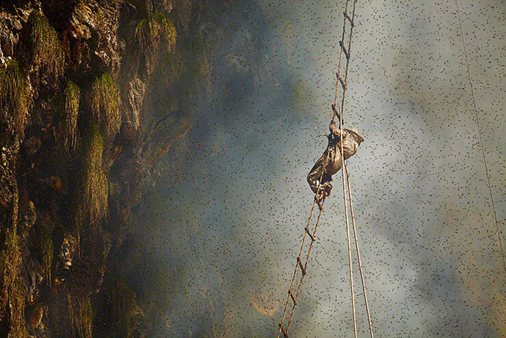 Mad Honey Hunters Of Nepal - 02.