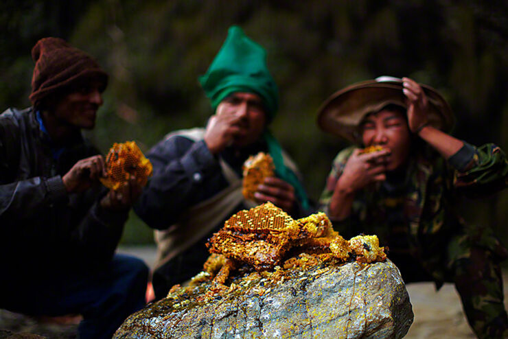 Mad Honey Hunters Of Nepal - 06.