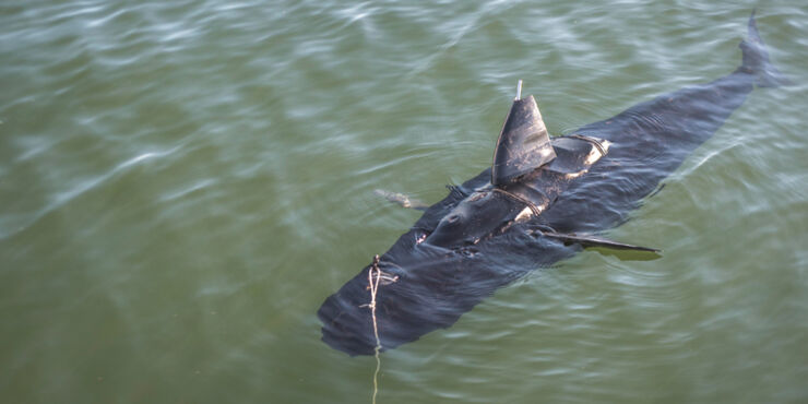 ghostswimmer