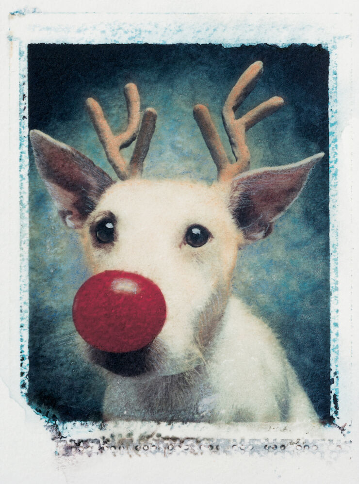 Rudolph 1990