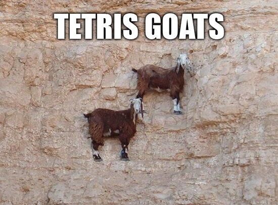 Tetris-Goats