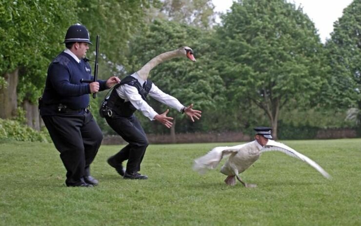 Simon-Pegg-Swan-Hot-Fuzz