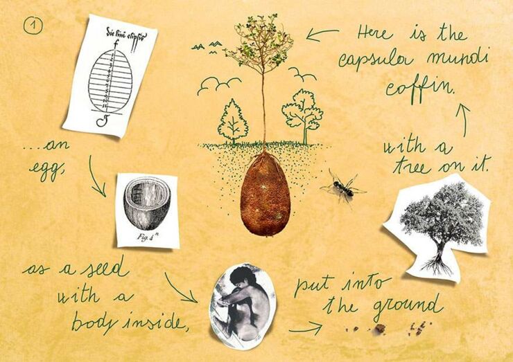 biodegradable-burial-pod-memory-forest-capsula-mundi-3-Optimized