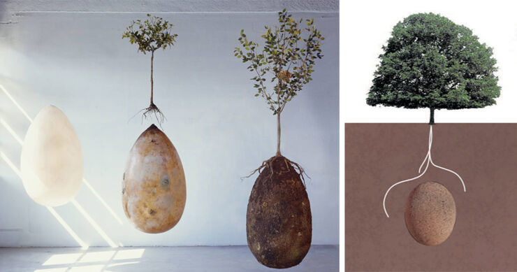 biodegradable-burial-pod-memory-forest-capsula-mundi