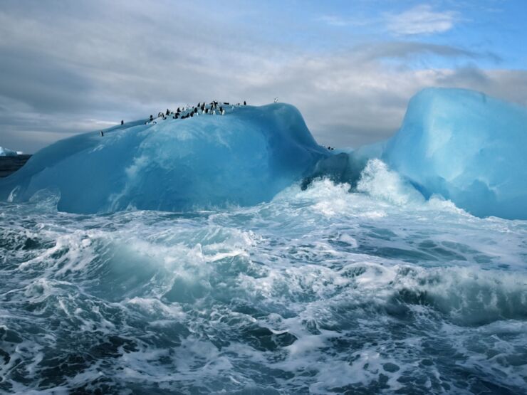 penguins-ice-berg-antarctica-wallpapers_48492_1280x960