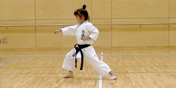 karate-740x370