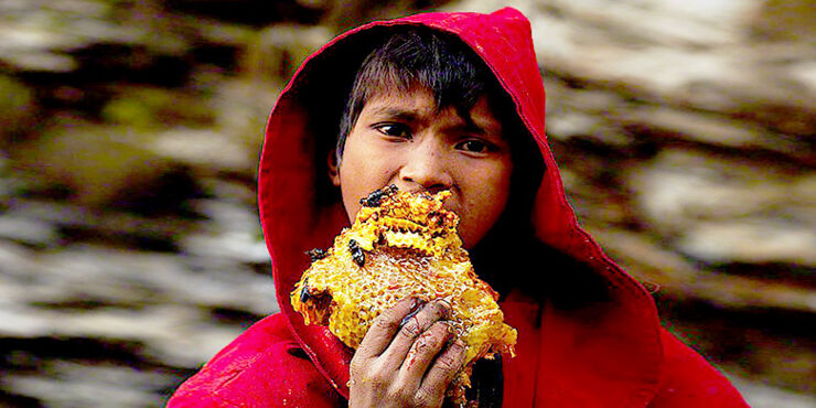 Mad Honey Hunters Of Nepal - 88.