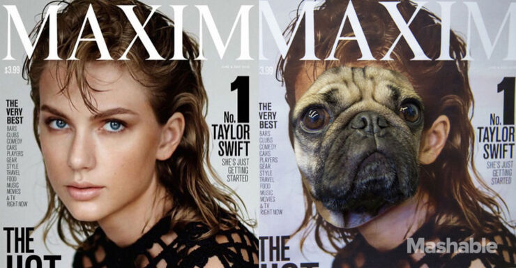 DOUG-THE-PUG-taylor-swift-9