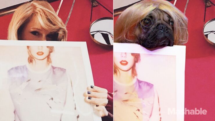 DOUG-THE-PUG-taylor-swift-10