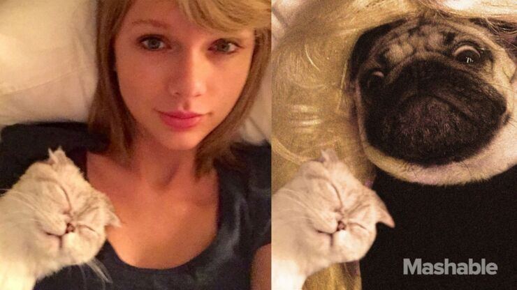 DOUG-THE-PUG-taylor-swift-21