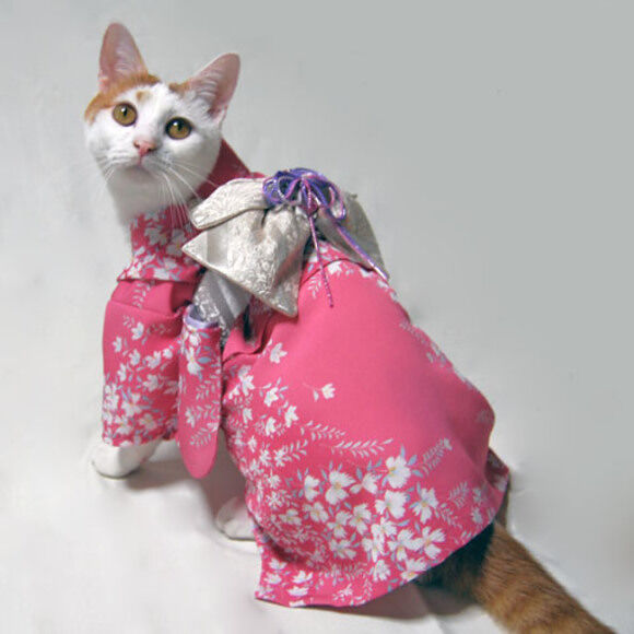 kimono-pink-nadesikogara31