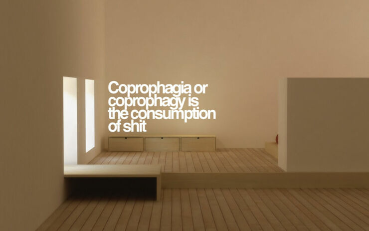 consumptionscapes