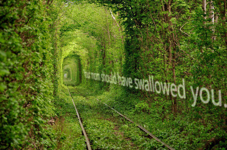 swallowedscapes