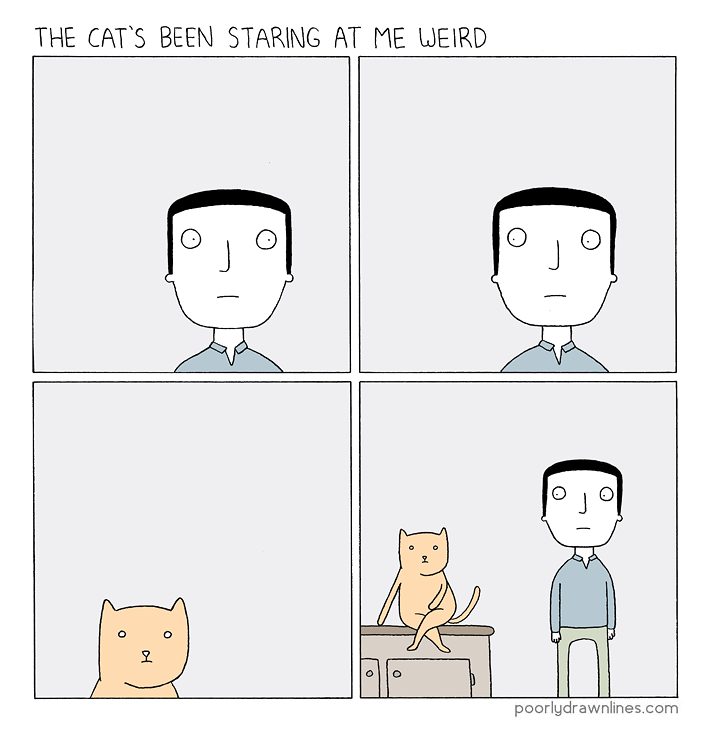 staring-cat