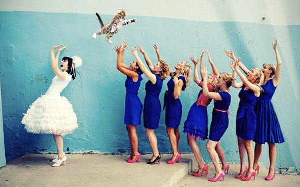 Brides-Throwing-Cats-01