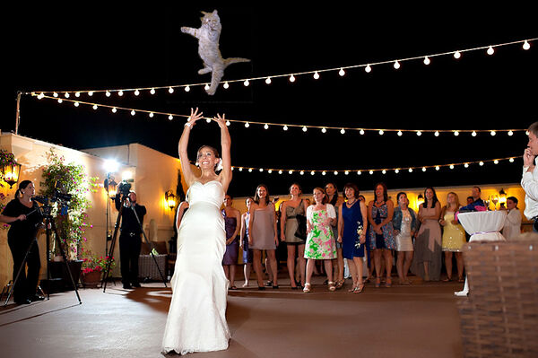 Brides-Throwing-Cats-02