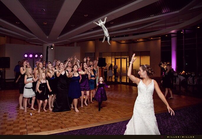 Brides-Throwing-Cats-04-685x470