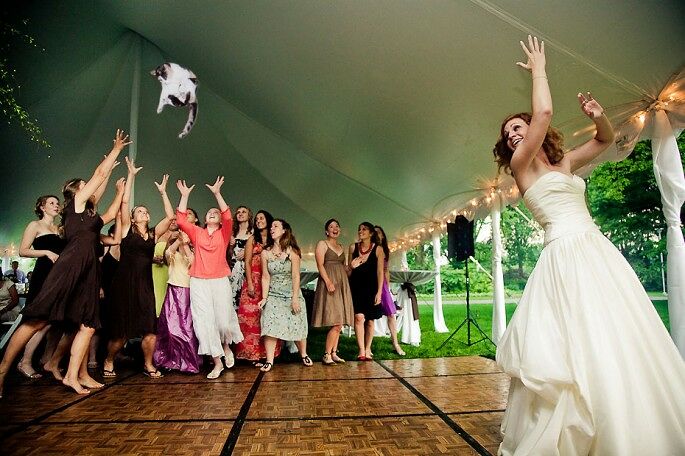 Brides-Throwing-Cats-06-685x456