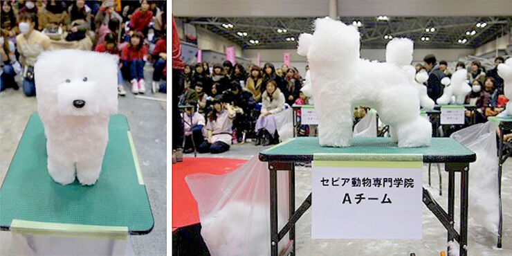 'Minecraft Dogs'—Japanese Are Shaving Pooches Into Cubes