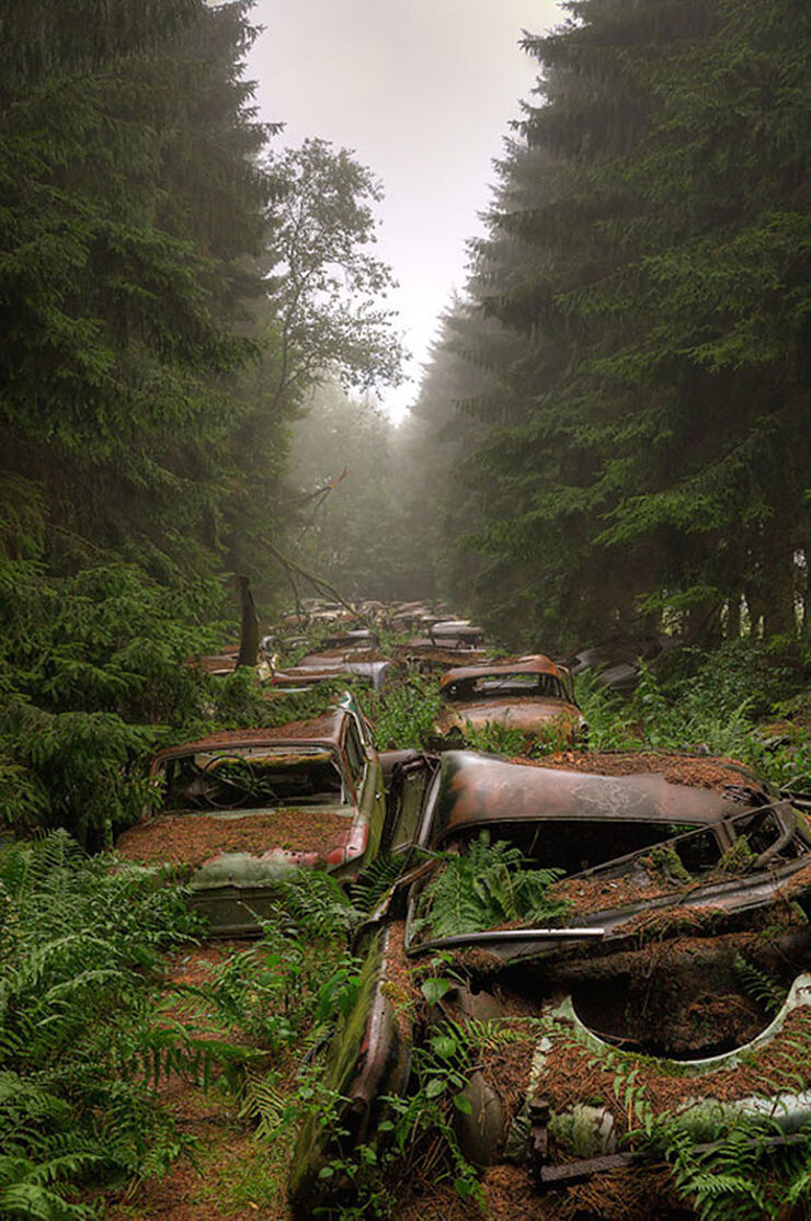 the chatillon forest car graveyard in belgium - 02.