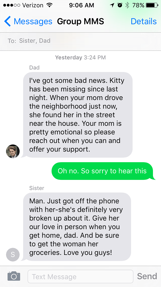 family-cat-goes-missing-story