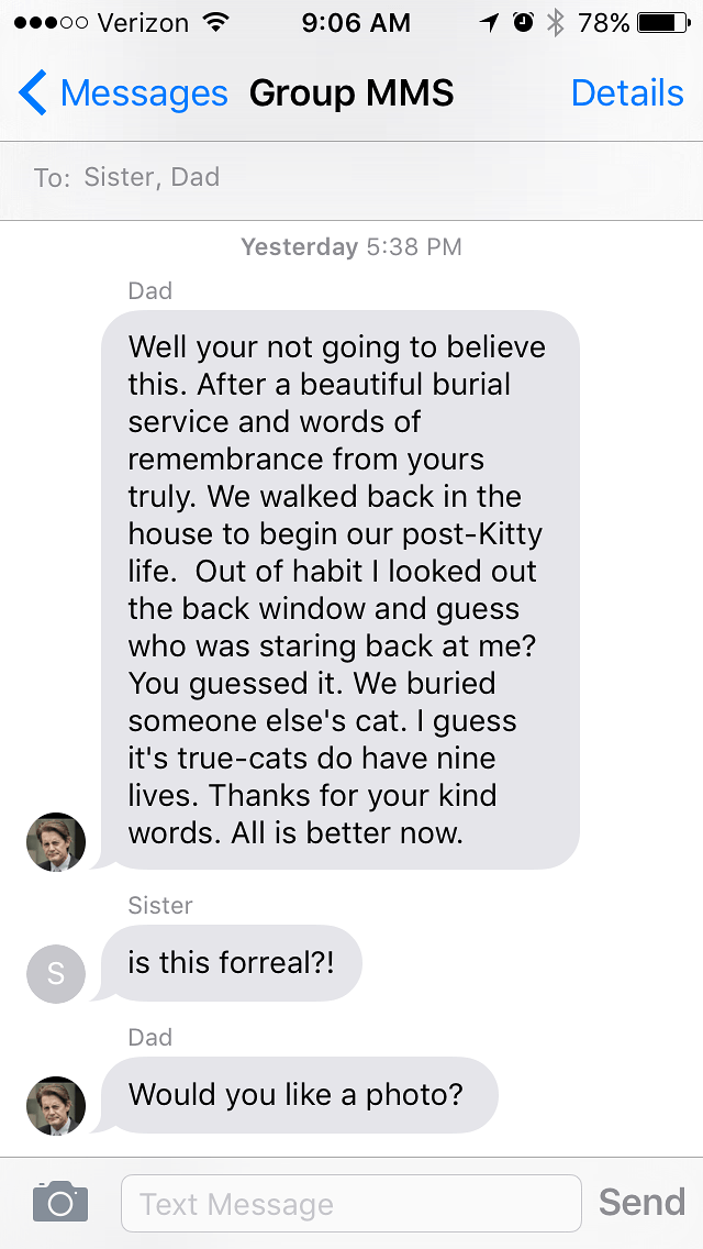 family-cat-goes-missing-story-1