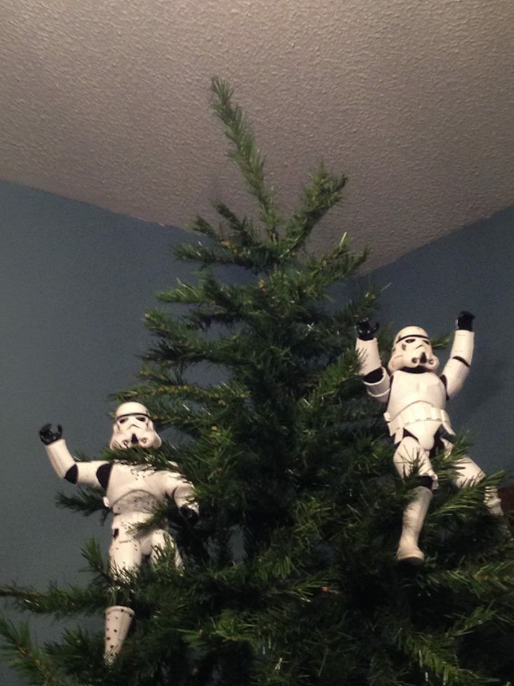 Stormtroopers put up the xmas tree 15