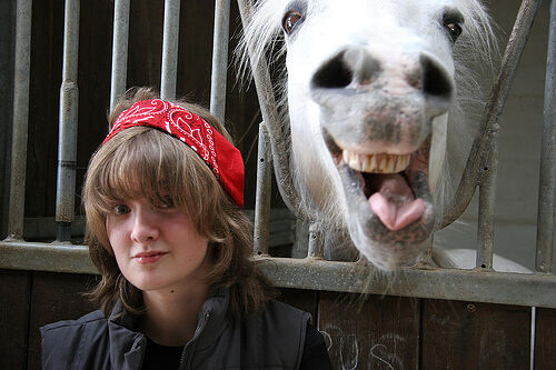 dieren-die-photobomben32