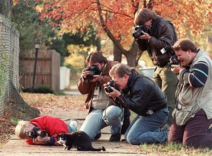 Photographers striving for that right shot - 08.