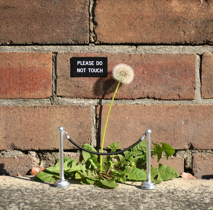 funny-sign-urban-art-michael-penderson-australia-11