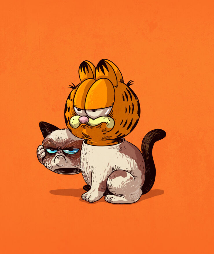 grumpycat_iu_800