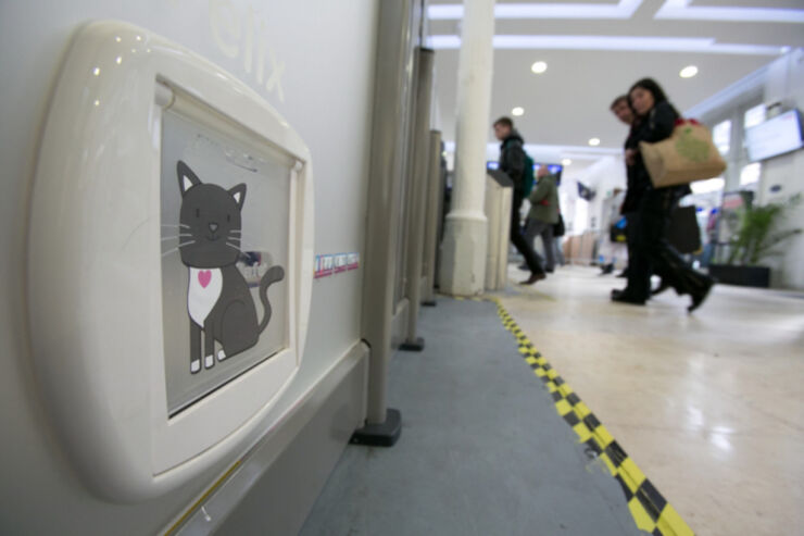 catflap