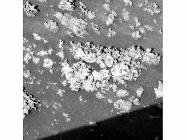 sol1160-sized.jpg__600x0_q85_upscale