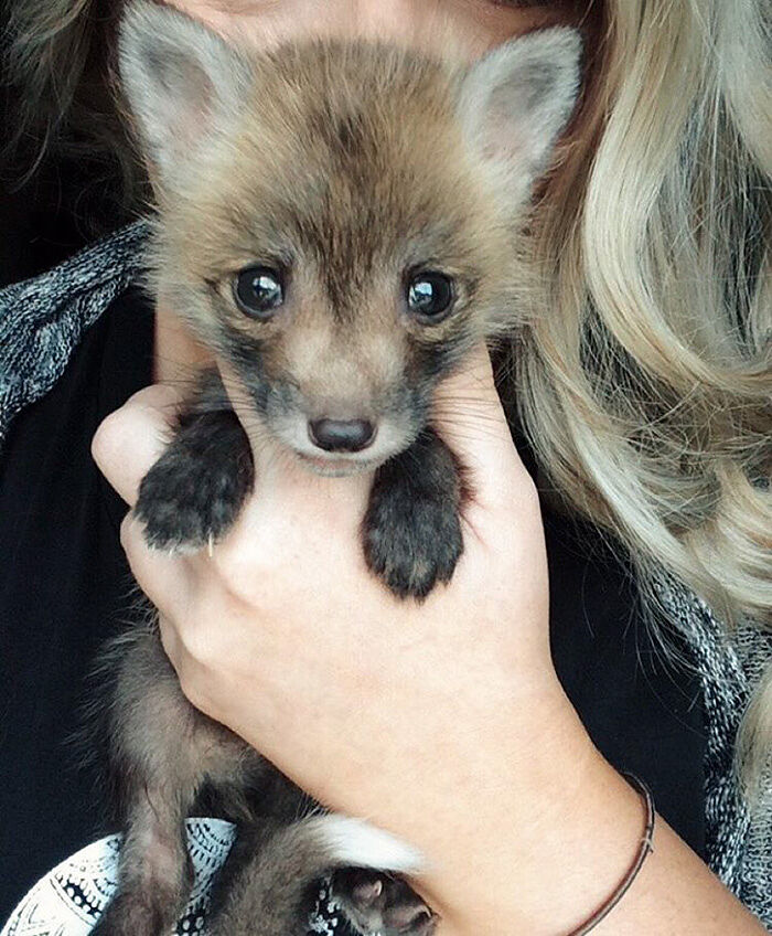 juniper-fox-happiest-instagram-5