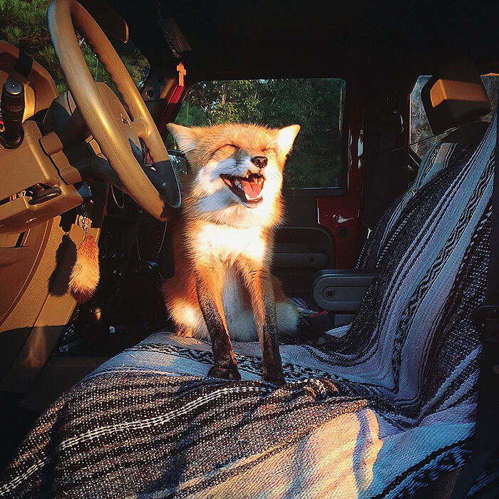 juniper-fox-happiest-instagram-11