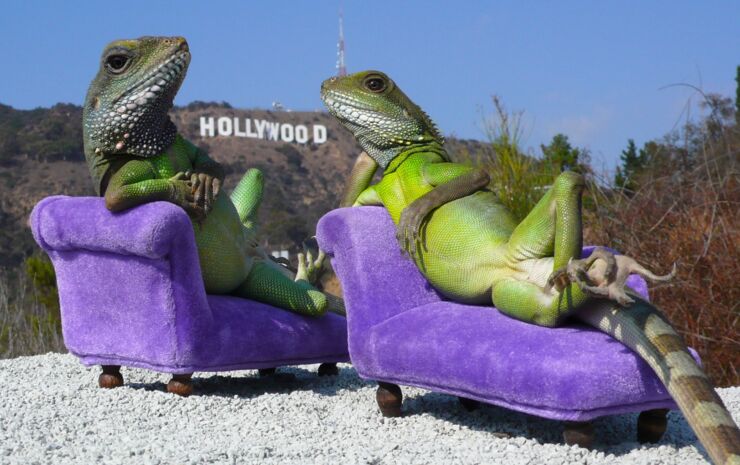 hollywood_lizards_by_henry_lizardlover_113_for_1280_web_