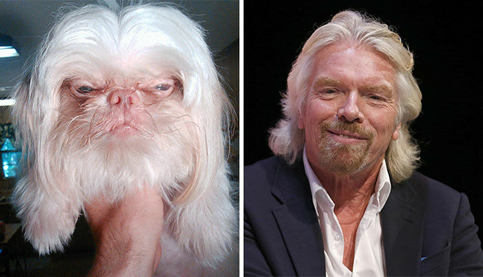 celebrity-look-alikes-animals-42__700