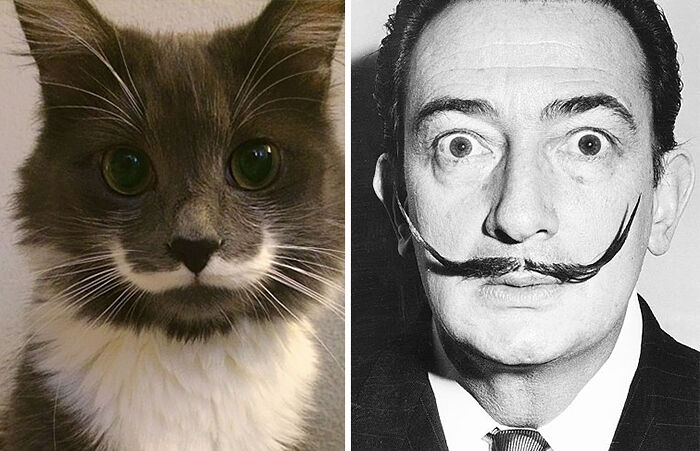 celebrity-look-alikes-animals-48__700