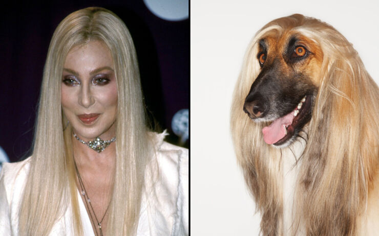 cher-lookalikes_3553327k