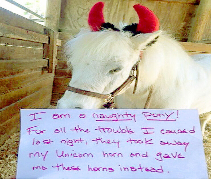 Naughty-Unicorn