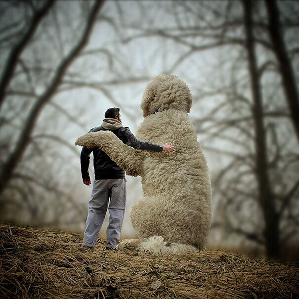 giant-dog-photoshop-adventures-juji-christopher-cline-61