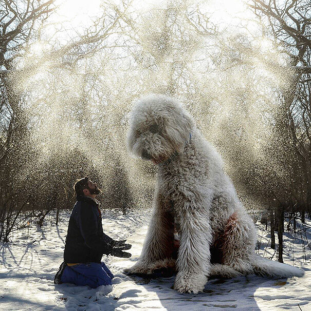 giant-dog-photoshop-adventures