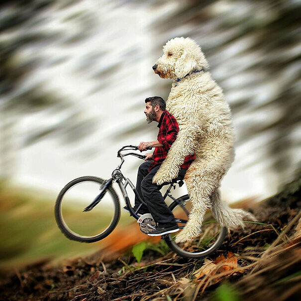 giant-dog-photoshop-adventures3