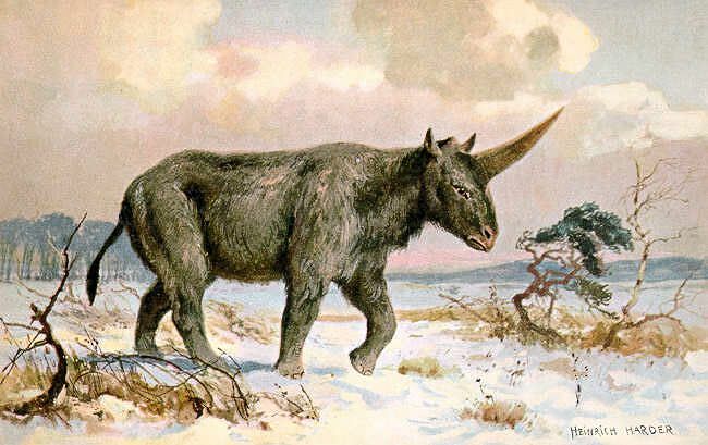 siberian-unicorn-painting-01.jpg.653x0_q80_crop-smart