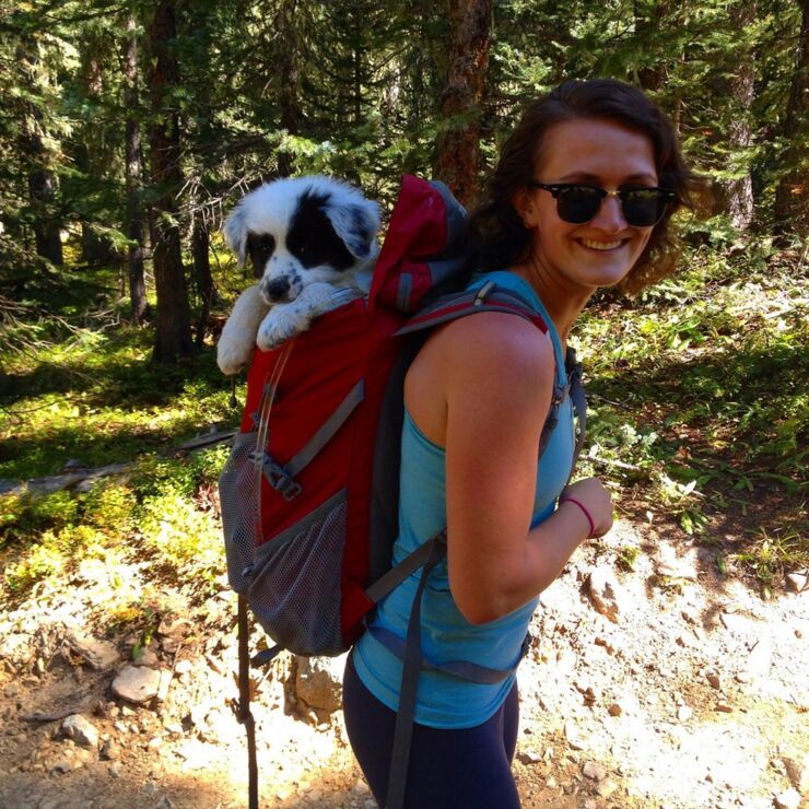 These Dogs Absolutely Adore Hiking In The Great Outdoors